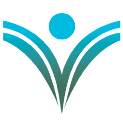 BVI Conseils