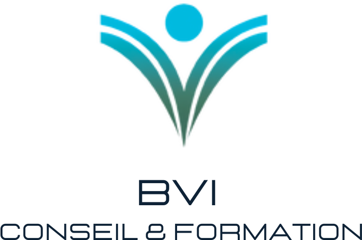 BVI Conseils